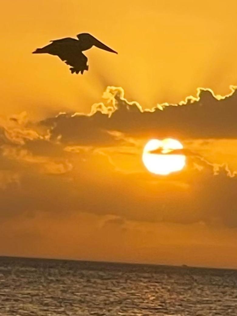 Welcome To The Paradise Fort Myers Beach Esterno foto